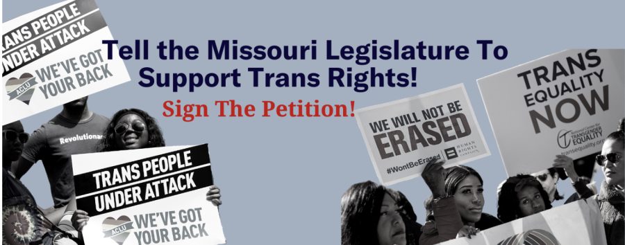 Missouri%E2%80%99s+Ban+on+Gender+Affirming+Healthcare