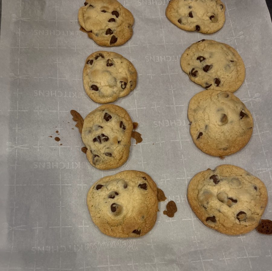 Chocolate+Chip+Cookies